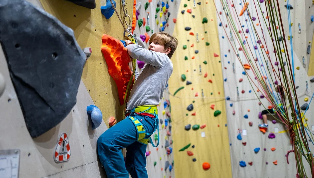 © Copyright: Vinzenz Schultz © Copyright: Vinzenz Schultz