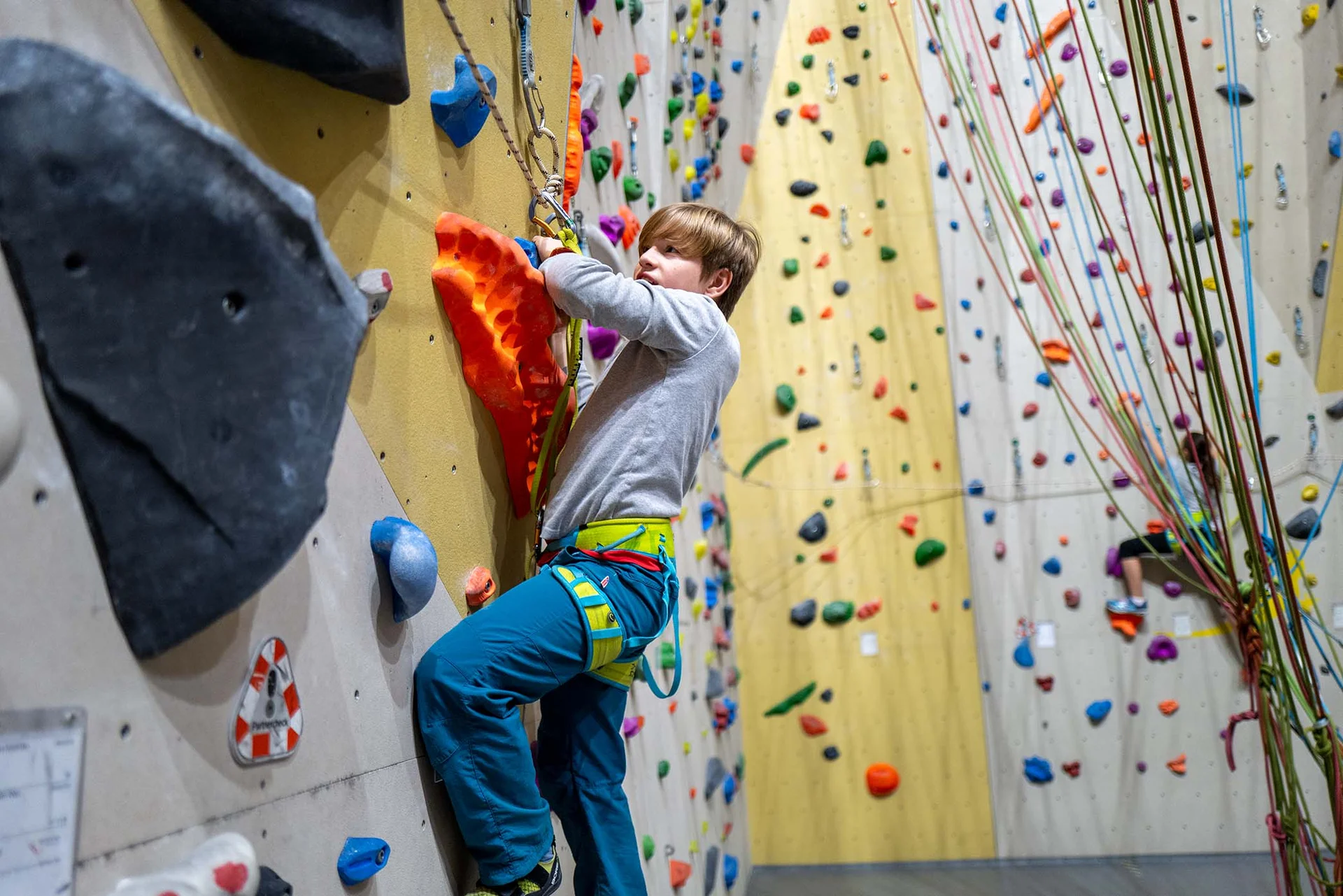 © Copyright: Vinzenz Schultz © Copyright: Vinzenz Schultz